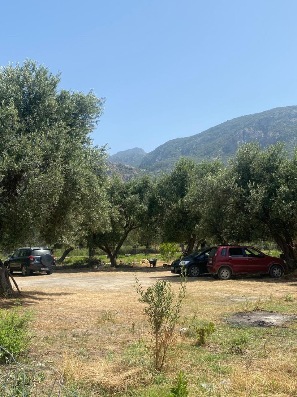 Irini'S Guesthouse Qeparo Dış mekan fotoğraf