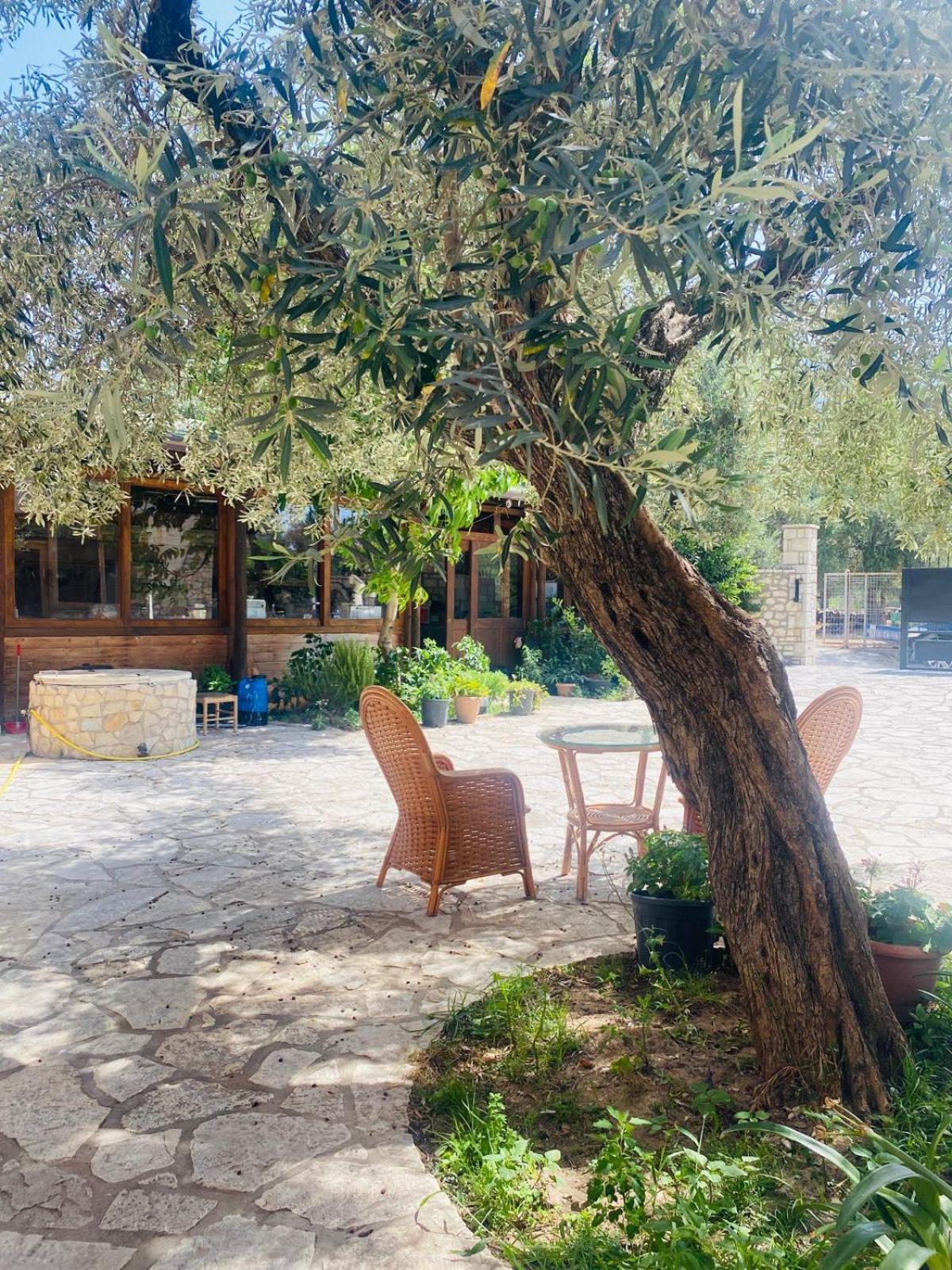 Irini'S Guesthouse Qeparo Dış mekan fotoğraf