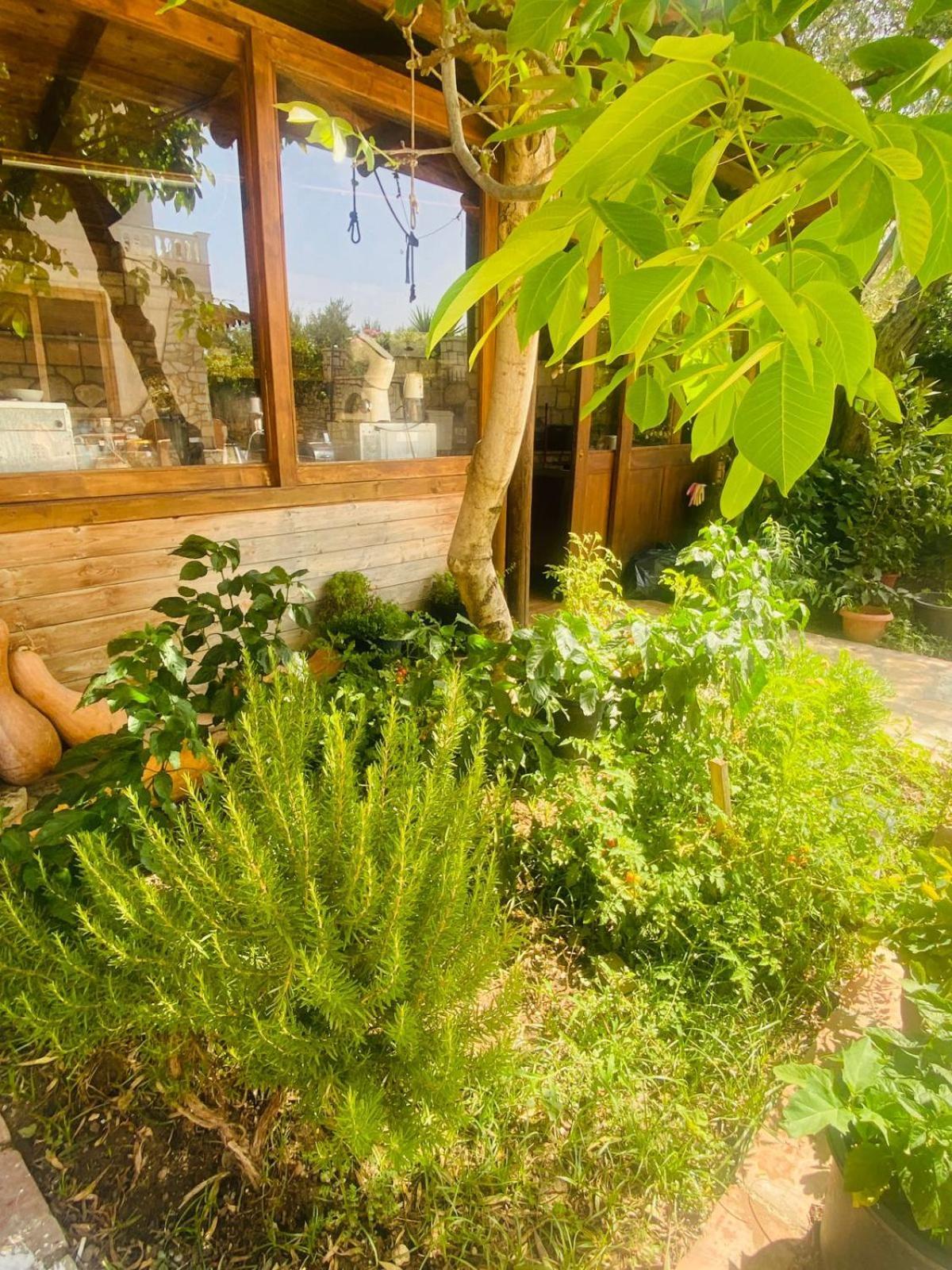Irini'S Guesthouse Qeparo Dış mekan fotoğraf